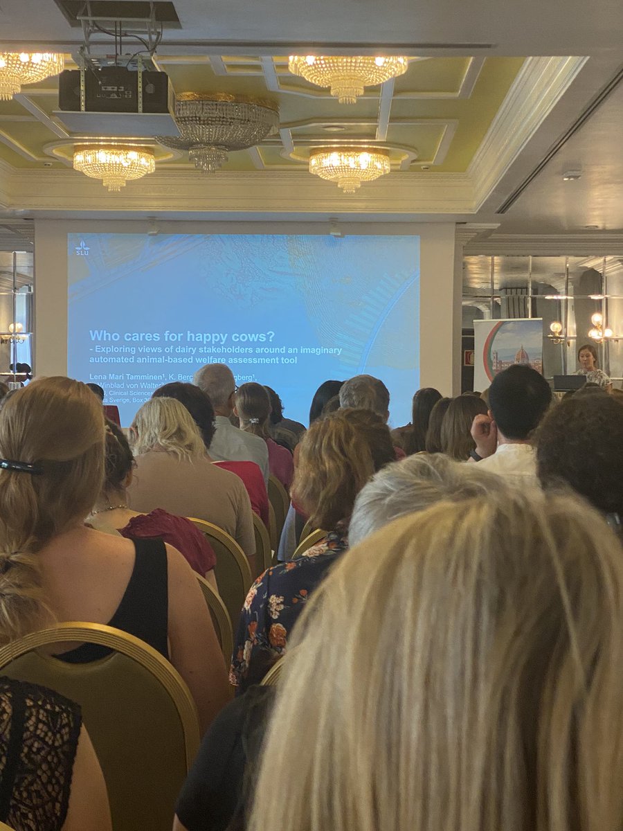 Maria Vilain Rørvang tweet media