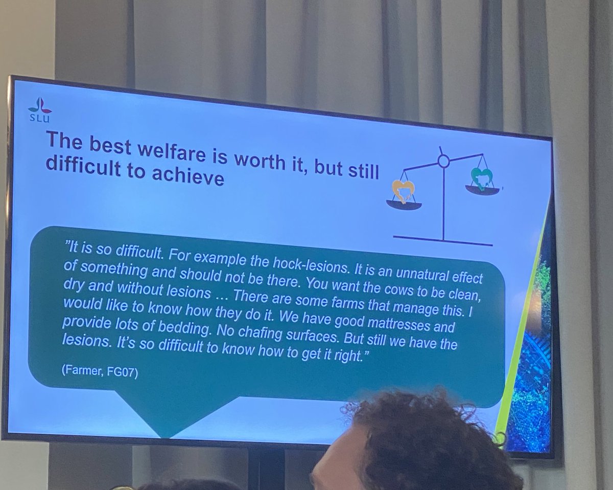 Maria Vilain Rørvang tweet media