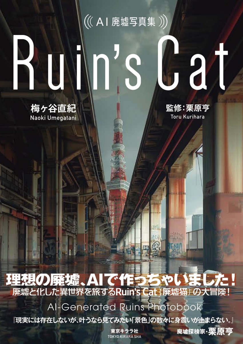クマ猫と廃墟 クマ猫と廃墟