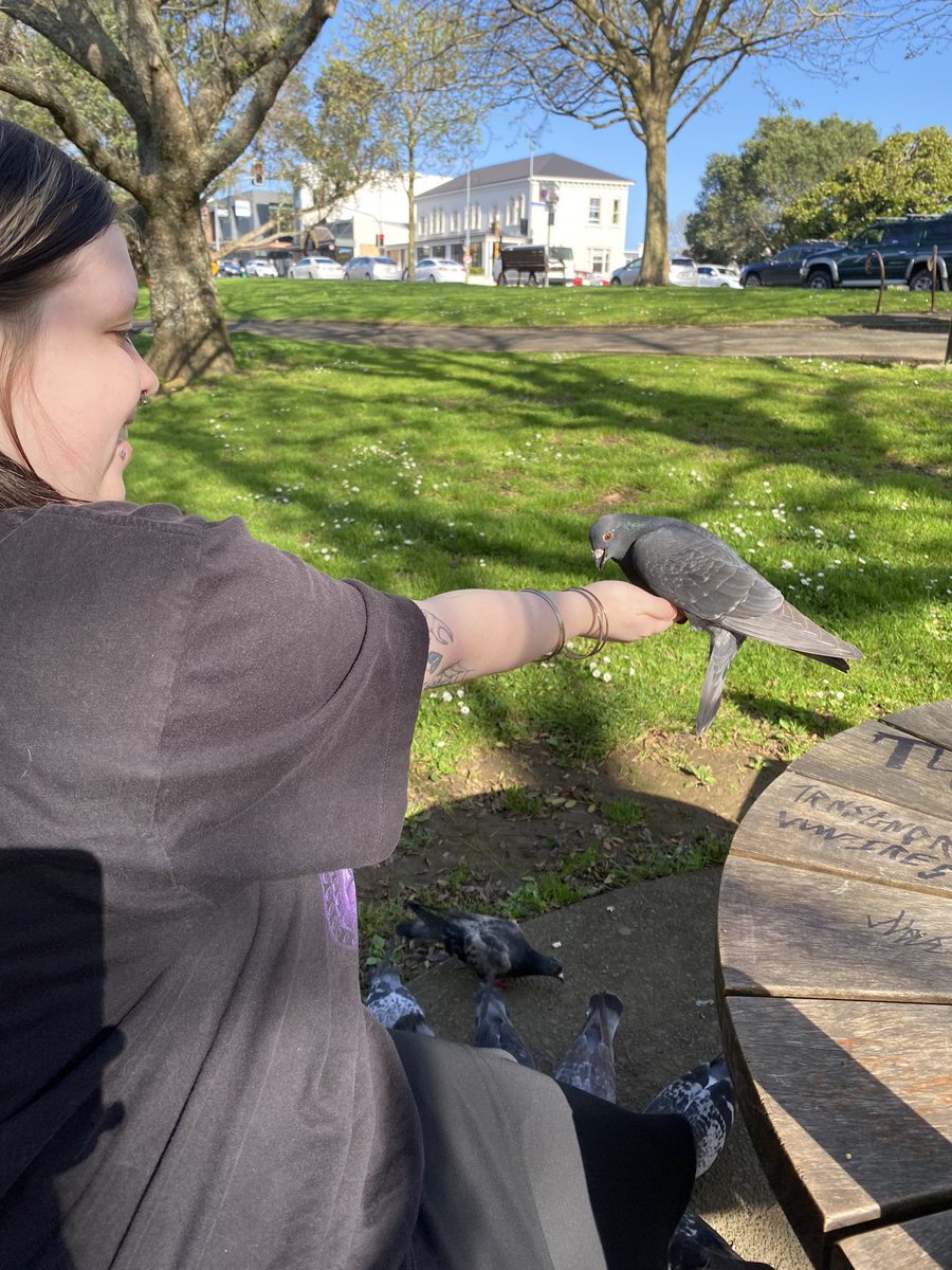 disgrace____'s tweet photo. @trendfollower96 she loves pigeons guys https://t.co/N4fHSj6ZnA