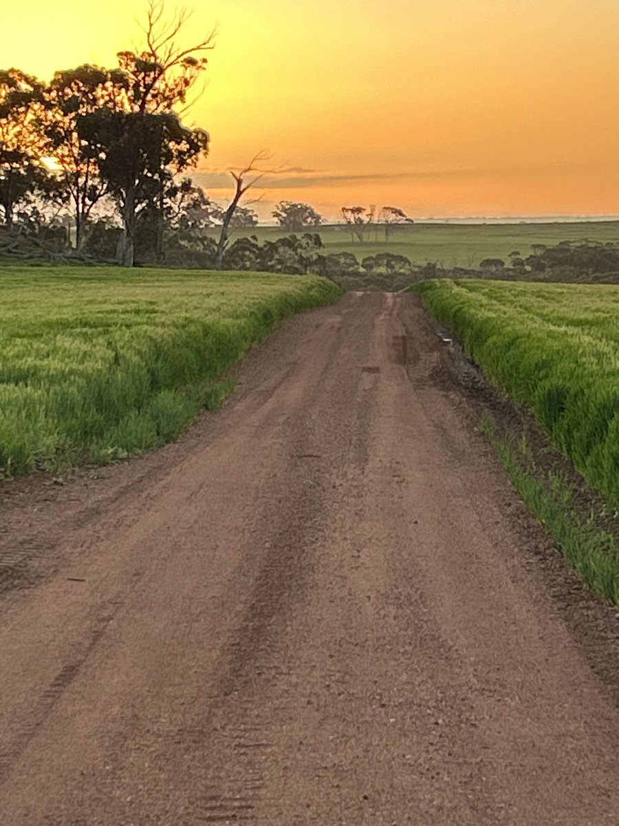 JJB McGill esquire Hoolz. living on McGill land tweet media