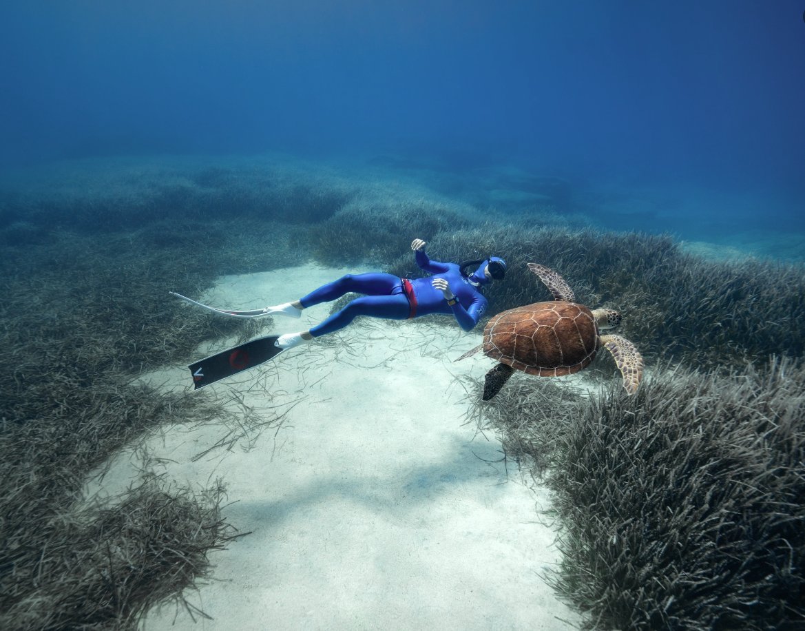 Chelonia mydas, also known as the green sea turtle 🐢is one of the most iconic marine species found in the waters surrounding Cyprus. This majestic creature holds a special place in both the ecosystem and cultural heritage of the island🌊
#Cyprus  #CyprusinPoland