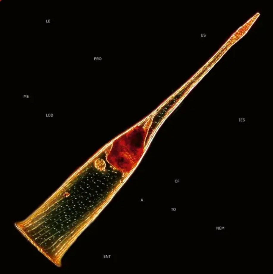 "Melodies Of Atonement" is officially out now! 🥳🎶✨️ Happy release day!!! 😄💿 Tell us your first impressions of the album and which songs are your favorites at the moment 🎵  Congrats to the band and everyone involved in the making of this material 👏