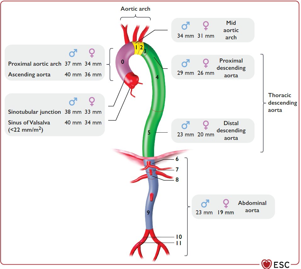 CardioTeca tweet media