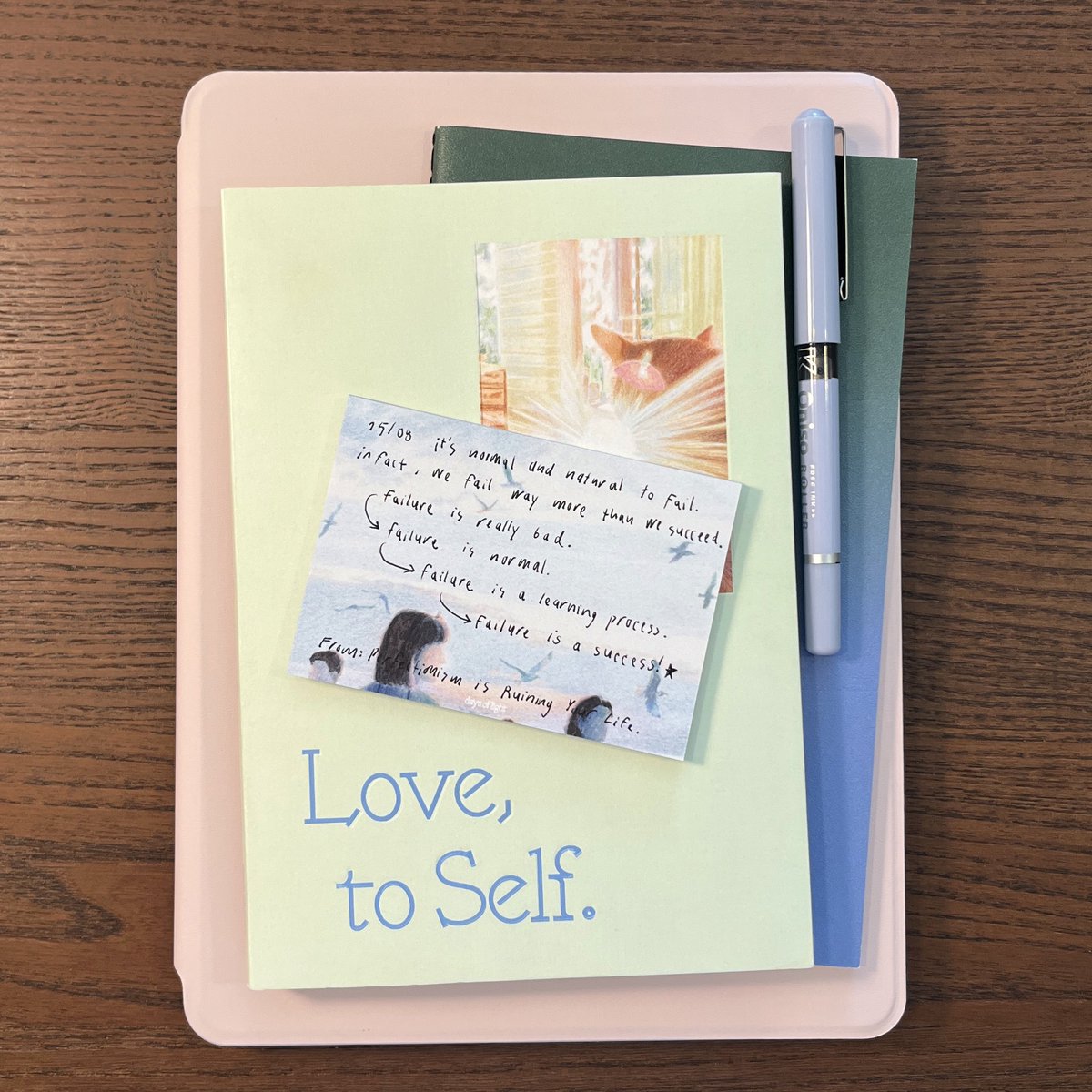 Be kind &amp; gentle to yourself 🫴🏻🐈