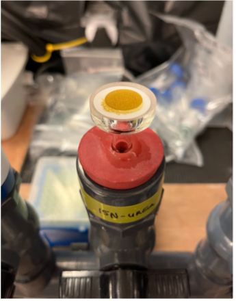 CARVICE_ocean tweet media