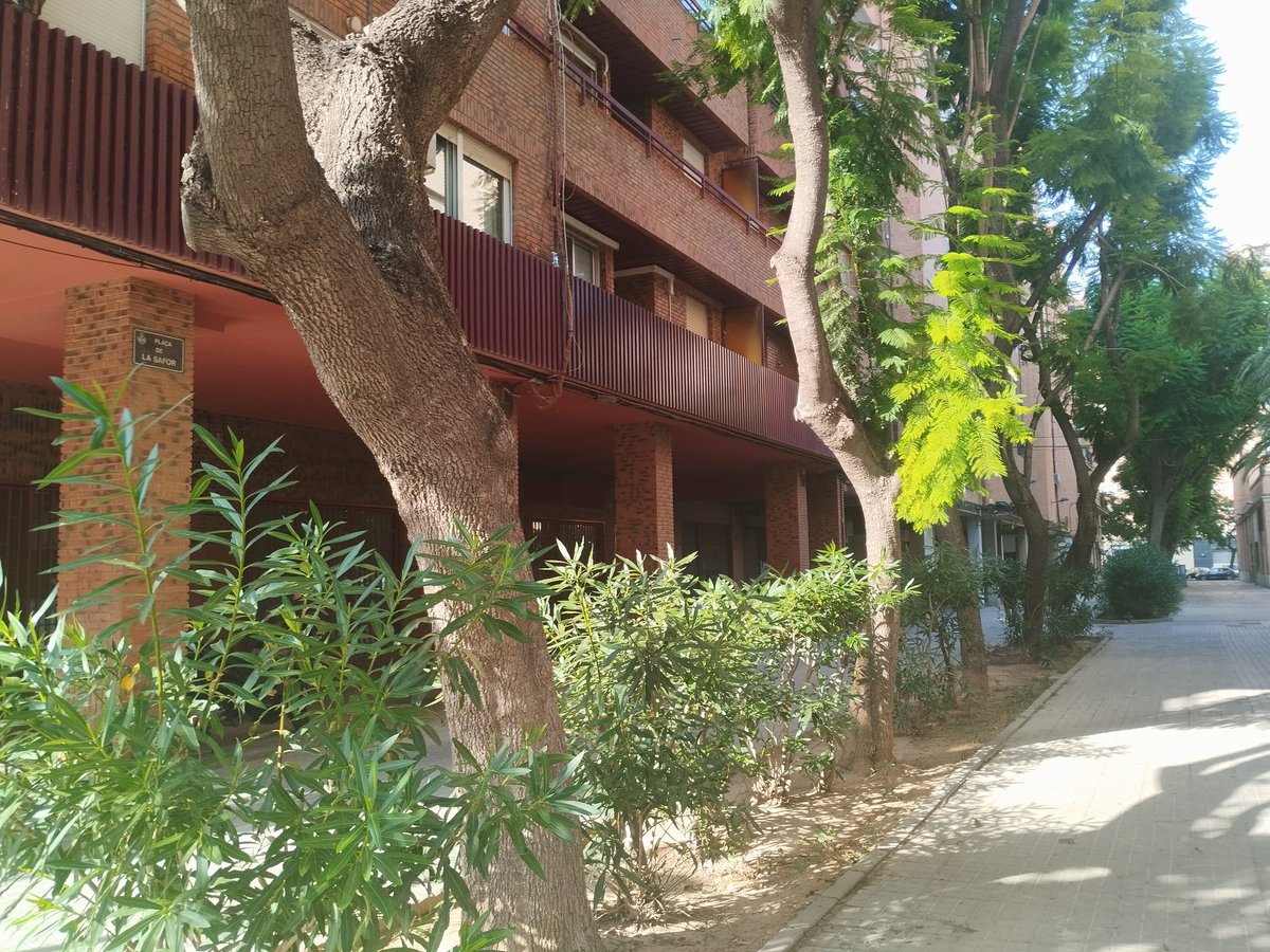 Inés A. Esteve tweet media