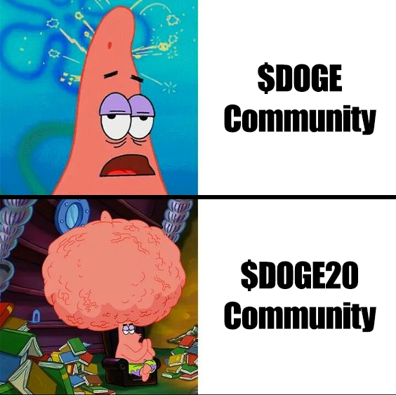 The #DOGE20 community is the smartest one out here… 💪