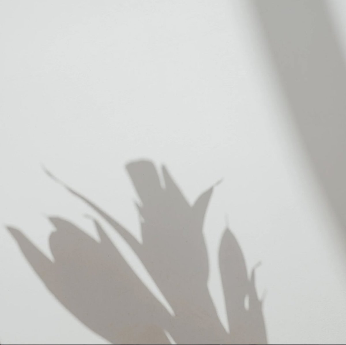 A scent, like a shadow, is the ethereal companion of the tangible—a whisper of something present yet unseen, revealing the essence of a moment without laying bare its full reality.

#ScentOfMystery #InvisibleEssence #SubtlePresence #EtherealBeauty #FragrancePoetry