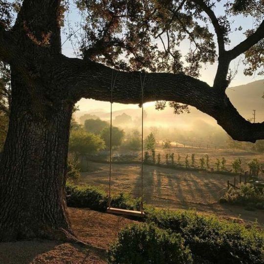 — taking in all that nature has to offer.