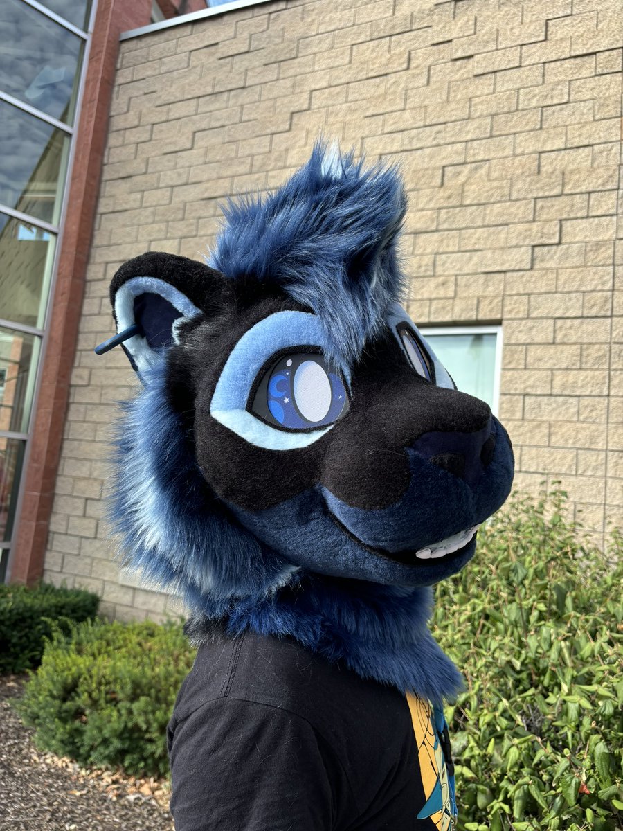 🌙HallowMoon tweet media