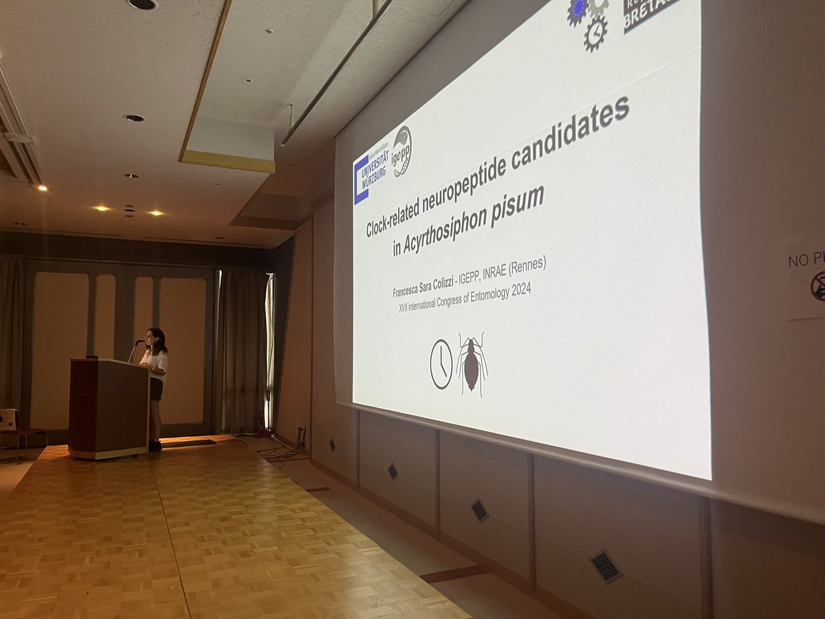 Jean-Paul Paluzzi tweet media