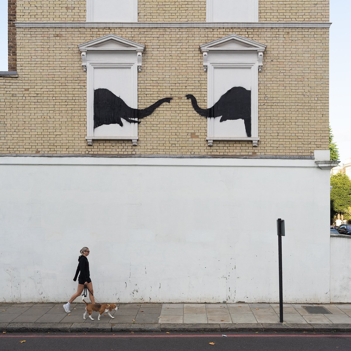 The British ZOO series from #BANKSY - Part 02

Elephants are not meant to be kept behind bars and/or in cages and/or chained, they are meant to live in their natural habitat. A natural habitat where people leave them alone for who they are and where they want to live.

Us humans,
