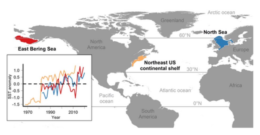 Diversity & Distributions tweet media