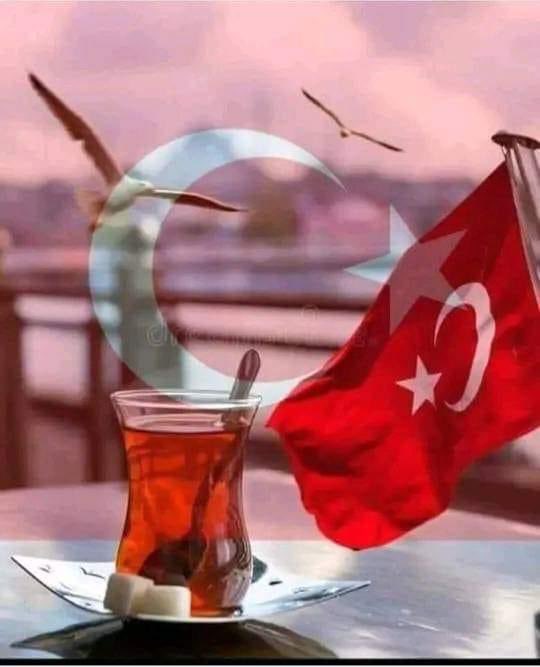 Seninle övünürüm,,,
Senin gölgende hürüm..!     🕊🕊

#Elhâmdulillah  🇹🇷☝️🇹🇷