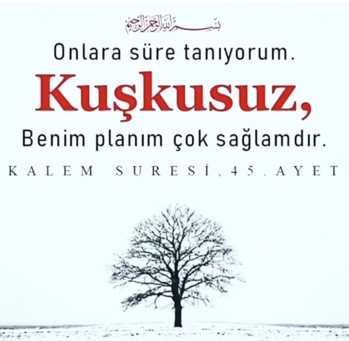 🥀🕊⚖️🪞🤍