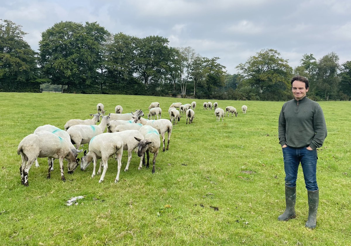Suzanne Campbell (@campbellsuz) on Twitter photo Tomorrow on <a href="/RTECountryWide/">CountryWide</a>; can the Irish wool industry be revived? I meet Zoe Daly and Lionel Mackey from Eriu wool business tomorrow on <a href="/RTECountryWide/">CountryWide</a> <a href="/RTERadio1/">RTÉ Radio 1</a>
<a href="/IREWoolCouncil/">Irish Grown Wool Council</a> 🐑 Tomorrow on <a href="/RTECountryWide/">CountryWide</a>; can the Irish wool industry be revived? I meet Zoe Daly and Lionel Mackey from Eriu wool business tomorrow on <a href="/RTECountryWide/">CountryWide</a> <a href="/RTERadio1/">RTÉ Radio 1</a>
<a href="/IREWoolCouncil/">Irish Grown Wool Council</a> 🐑