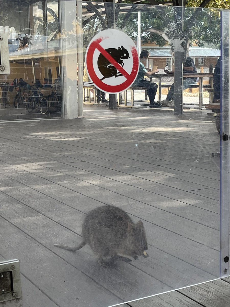 Dr David Hamilton (@davidghamilton1) on Twitter photo Become ungovernable Become ungovernable