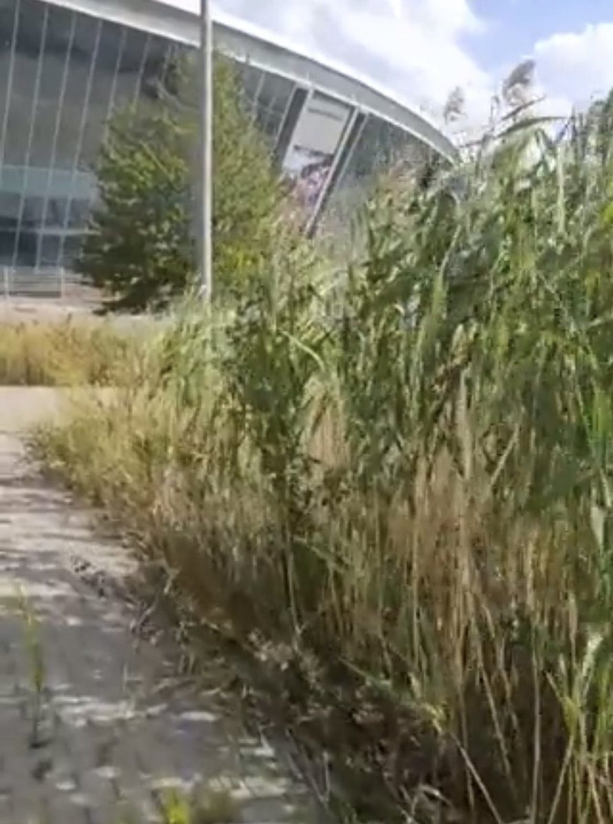 DrewPavlou's tweet photo. Beyoncé opened the Donbas Arena in Donetsk 15 years ago today. Tens of  thousands of young Ukrainians cheered her as she called out: “Hello Ukraine!”

Now uncut weeds grow outside the abandoned stadium behind Russian lines. Russia systematically depopulated the city and the entire region. All men were forcibly conscripted into units with 50% casualty rates. Basically genocide, forcing Ukrainians into endless suicide wave assaults on Ukrainian positions. 

Nazi Germany did not succeed in destroying the Donbas but Putin managed it. An entire region practically wiped from the face of the Earth with zero fertility, massive emigration and forced conscription into kamikaze brigades. 

The beautiful Russian World. 

https://t.co/0eWy68JuvK