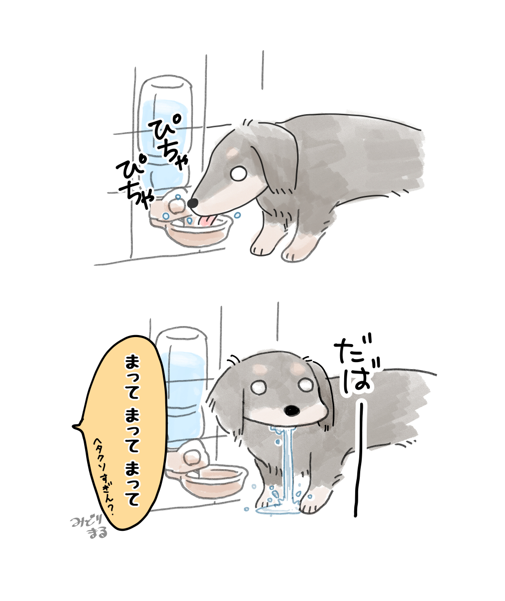 毎回水浸しなんだけど。 
