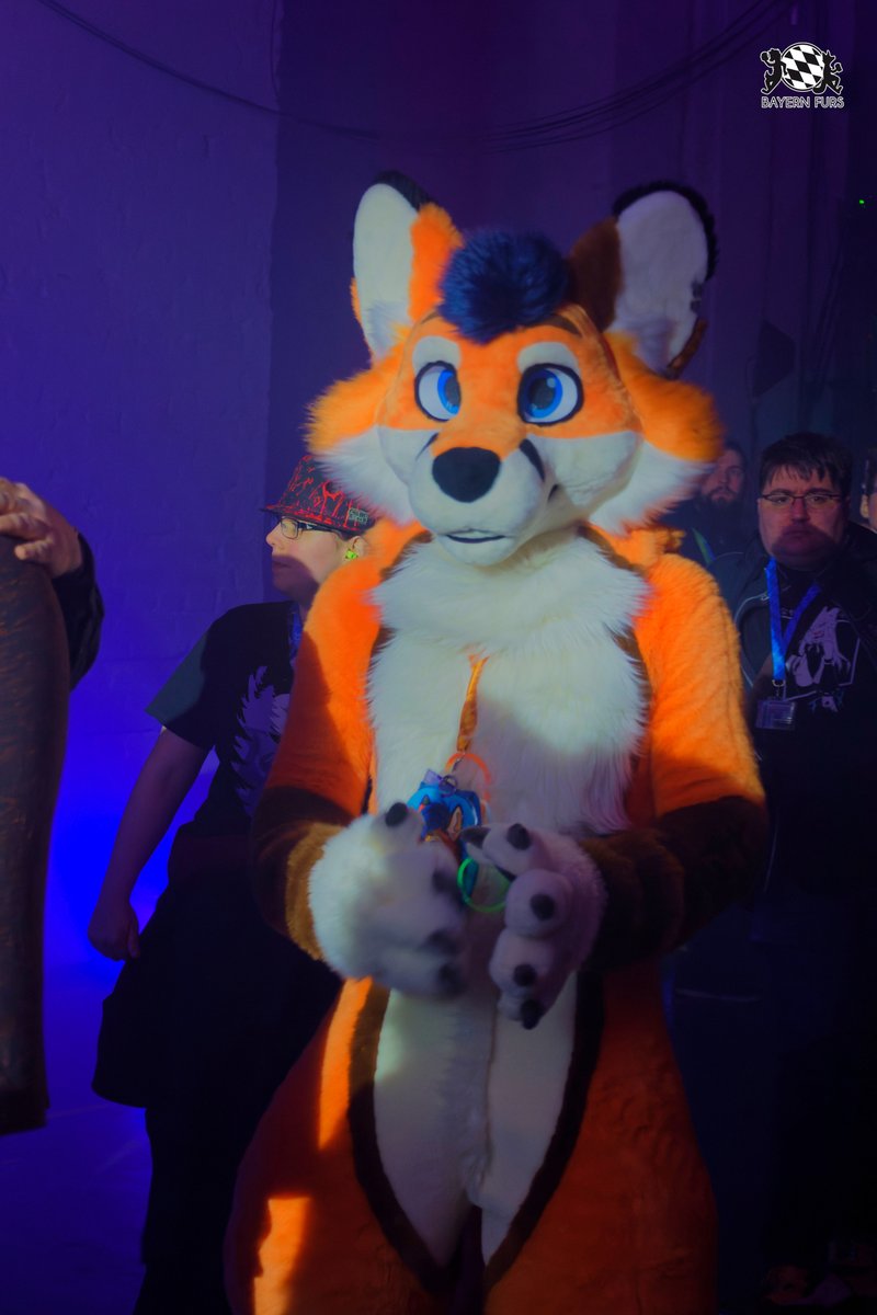Schönes Wochenende Ihr Lieben. ❤

#BFD14 #FursuitFriday

🦊 <a href="/BamexFox/">Bamex</a> 
📸 <a href="/TenzotheTiger/">Tenzo</a> 

Ihr wollt uns unterstützen? Super!
Dann hier entlang, unter
bayern-furs.de/ueberuns/verei…