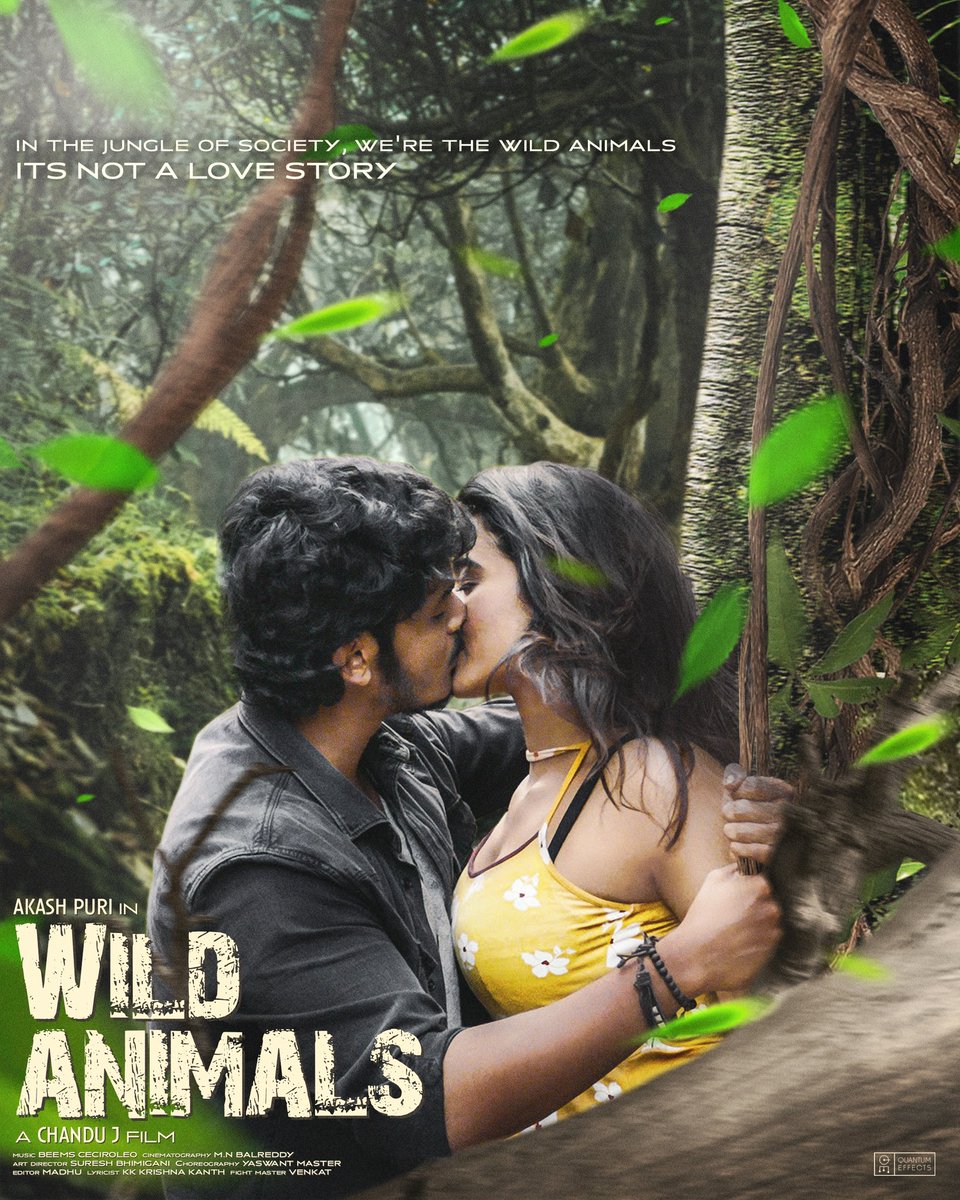 QuantumEffects_'s tweet photo. The Wild Animals! Is a concept art poster. 
Feat. @ActorAkashPuri &amp; @TheKetikaSharma
‼️Unofficial ‼️FanMade 

#AkashPuri #KetikaSharma
#Romantic https://t.co/5ppoQVc4Ve