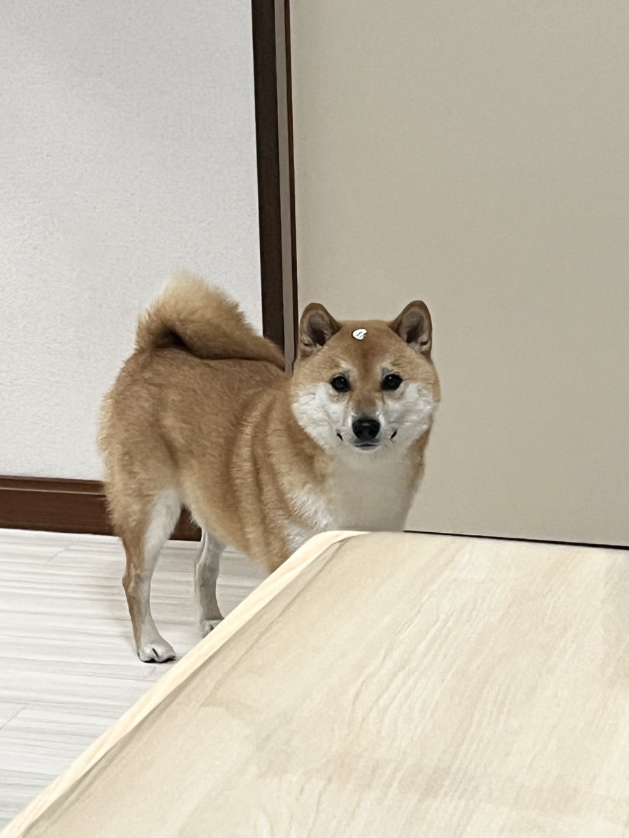 容疑者画像メーカー