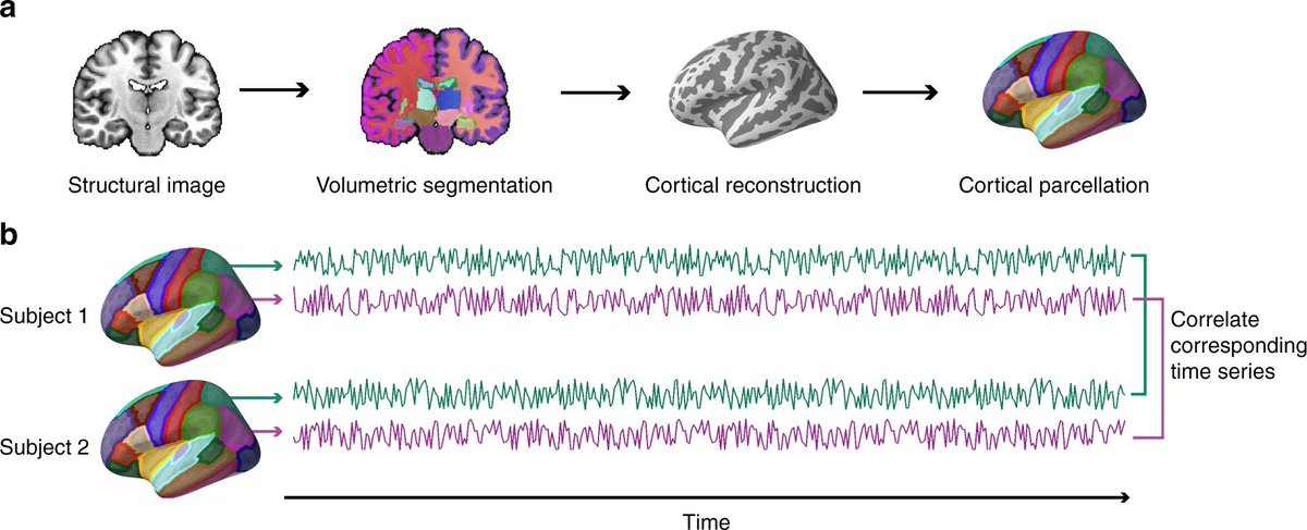 Friends have similar neural responses.

🧵1/10