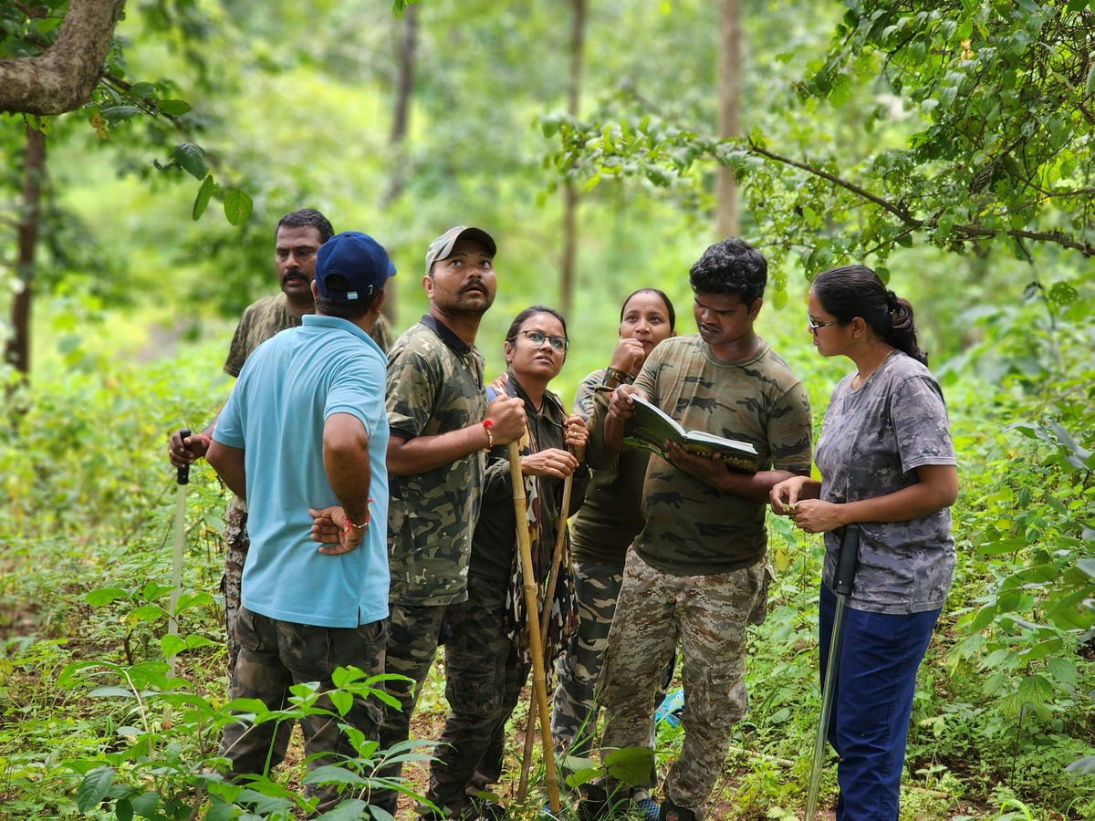 Divya bharathi, IFS (@divyaifs) on Twitter photo Every moment of patrolling is an opportunity to learn and share.
For the love of trees and wildlife ♥️
<a href="/magical_melghat/">Magical Melghat</a> #forest #sipna #Gratitude Every moment of patrolling is an opportunity to learn and share.
For the love of trees and wildlife ♥️
<a href="/magical_melghat/">Magical Melghat</a> #forest #sipna #Gratitude