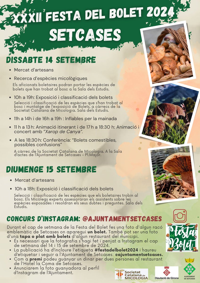 XXXII Festa del Bolet de Setcases 
Reservat el cap de setmana del 14 i 15 de setembre, i vine a Setcases a gaudir del nostre entorn, els bolets i la bona gastronomia!
#setcases #festadelbolet2024 #festadelboletdesetcases
setcases.cat/xxxii-festa-de…