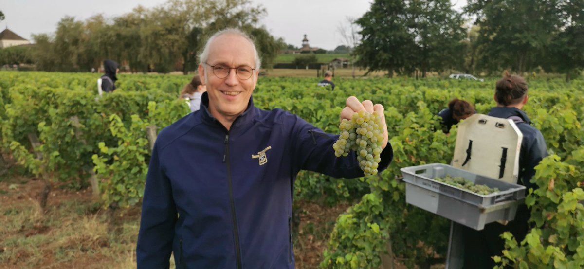 Côté Châteaux (@cotechateaux) on Twitter photo Début des vendanges en blancs au château Smith Haut Lafitte à Martillac en Gironde. A voir ce soir à 19h25 sur <a href="/F3Aquitaine/">France 3 Aquitaine</a> <a href="/ChateauSHL/">Smith Haut Lafitte</a> @vinsdebordeaux Début des vendanges en blancs au château Smith Haut Lafitte à Martillac en Gironde. A voir ce soir à 19h25 sur <a href="/F3Aquitaine/">France 3 Aquitaine</a> <a href="/ChateauSHL/">Smith Haut Lafitte</a> @vinsdebordeaux