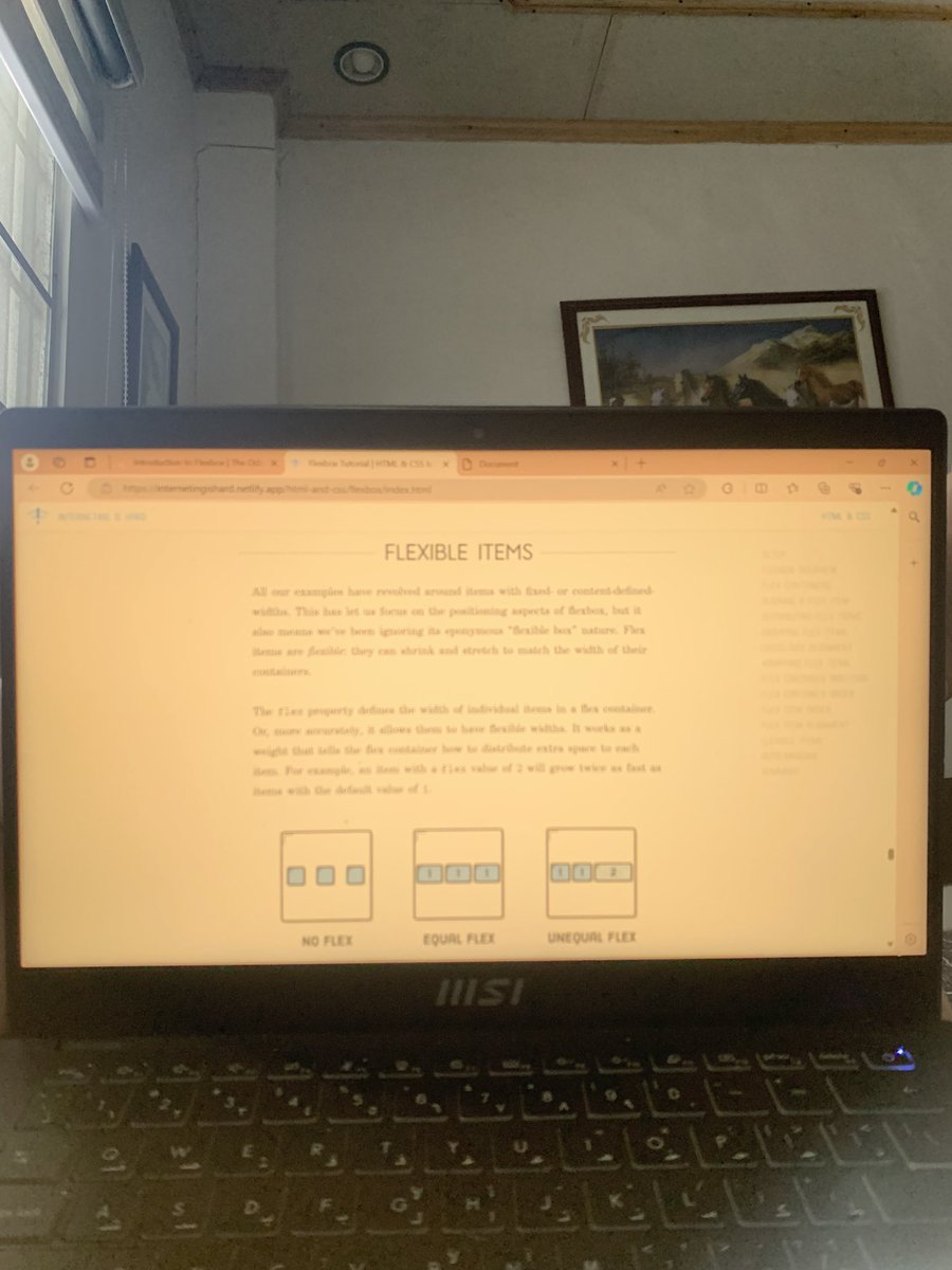 codehatter1's tweet image. Learning Flexbox 🌸