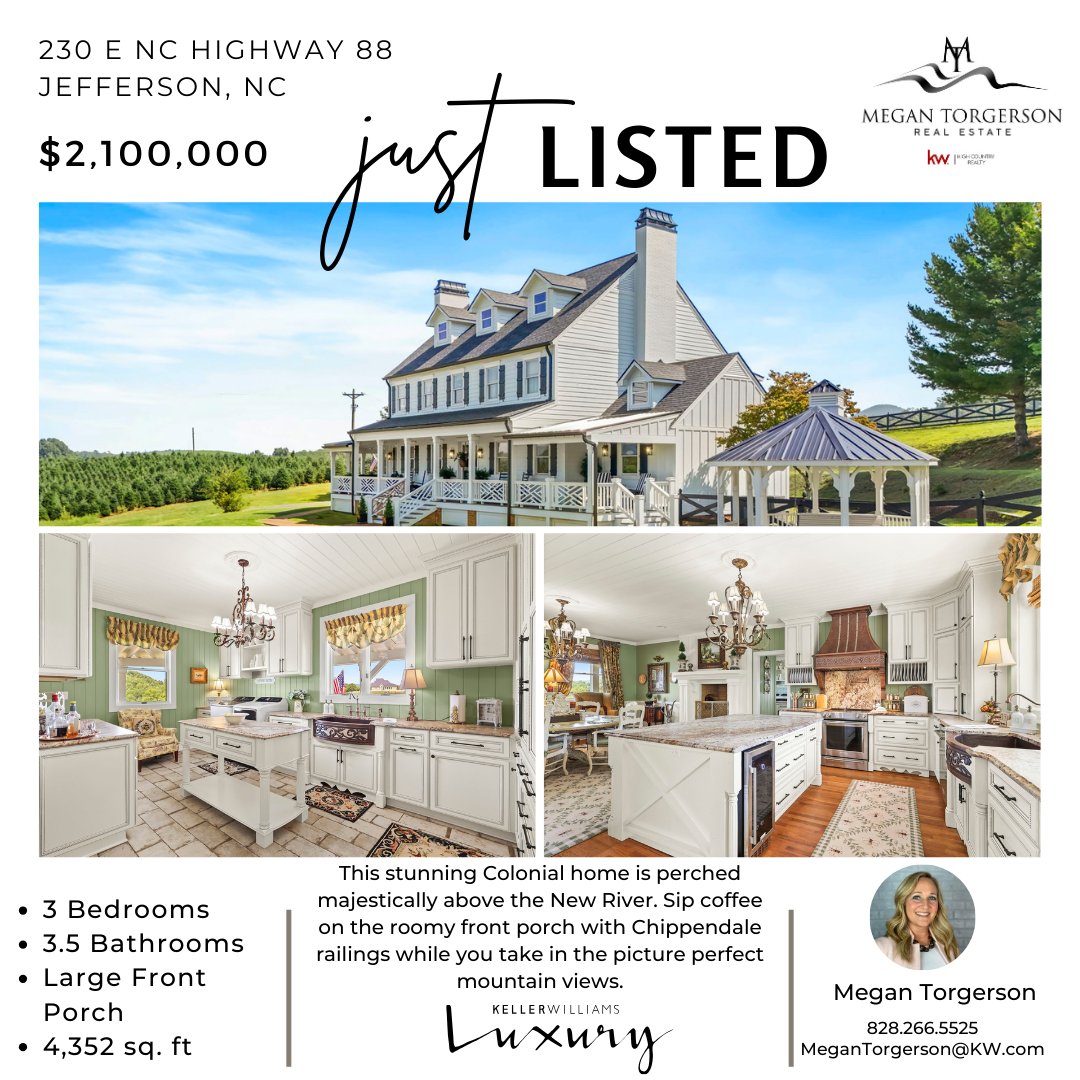 Megan Torgerson Real Estate tweet media