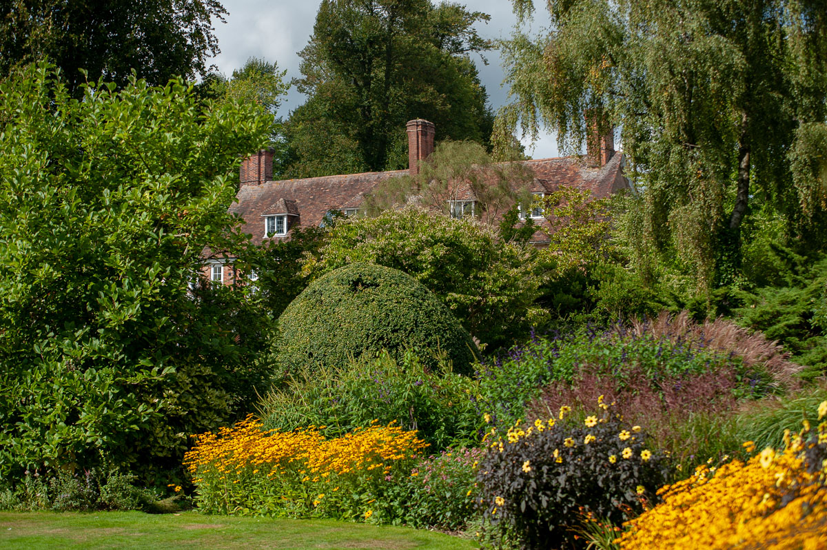 Great Comp Garden tweet media