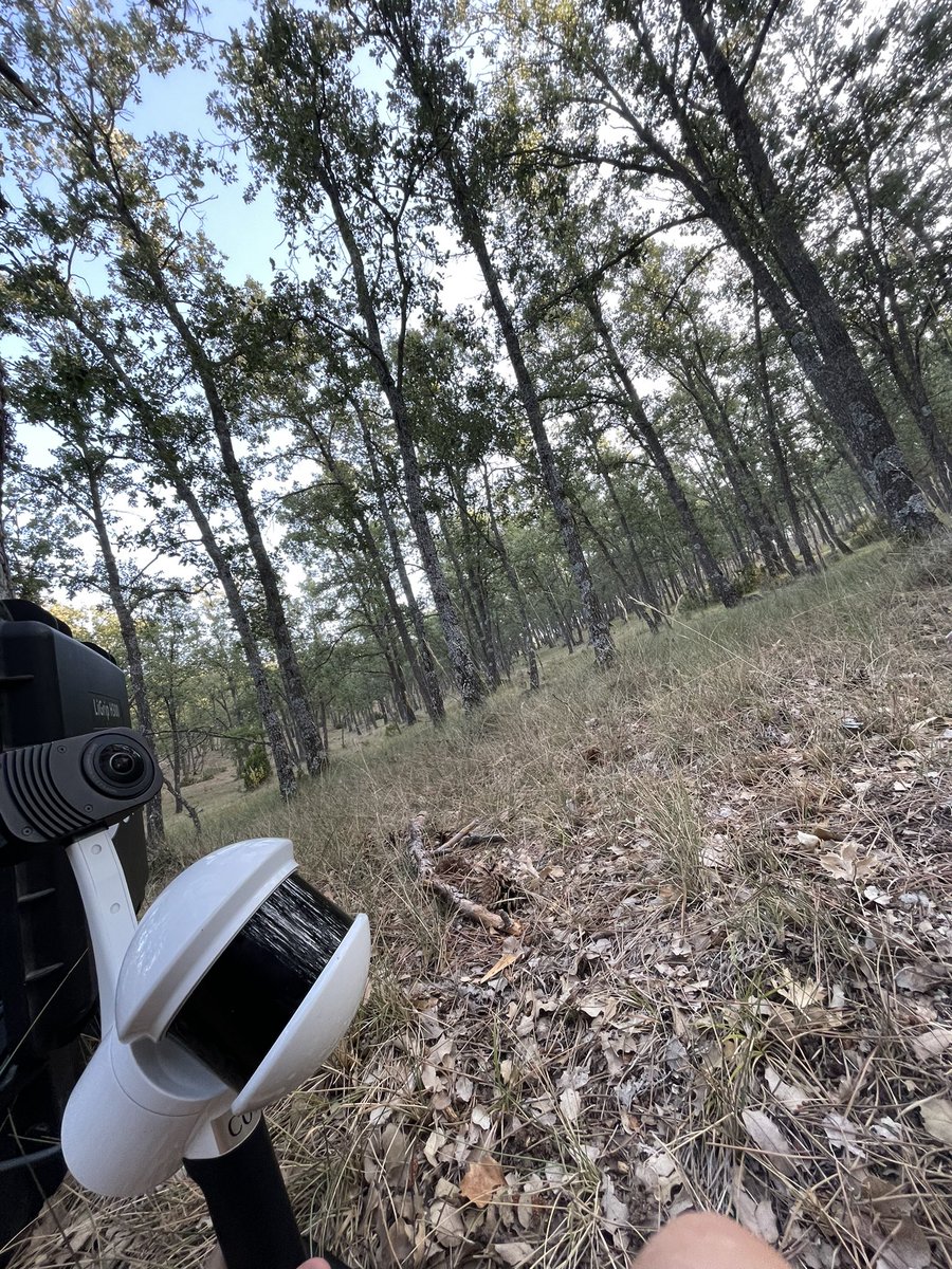 geforestesp's tweet photo. Inventario forestal mediante LiDAR Terrestre Móvil previo a la elaboración del Instrumento de Gestion Forestal Sostenible en un MUP de Guadalajara.
Es necesario tomar datos de calidad para asegurar una correcta gestión forestal.
#sostenibilidad
#Lidar
#IGFS https://t.co/AuboZNu737
