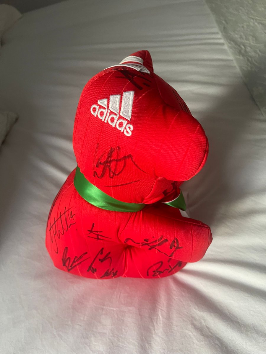 GolCymru's tweet photo. To help children in Montenegro, Iceland and Turkiyë we're  raffling a signed bear. Tickets are £5 for 2, £10 for 5. Do not add Gift Aid. Leave your name, contact number or email. DM if you don' t want them visible.  Draw is 13 September. Tickets here! 
https://t.co/qKjaNr1sYB https://t.co/cuxTFRh5pl