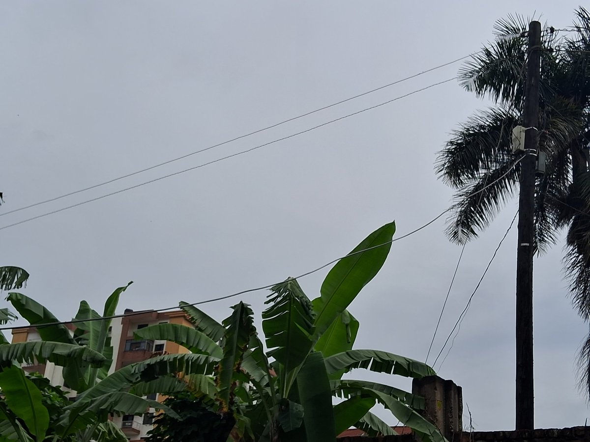 tonykentkyazze's tweet photo. @UmemeLtd @MDofUmeme @ERA_Uganda @UEDCLTD @UegclOfficial @UEGCL_CEO It's a real pain

Imagine suffering with an upright connection while those with crooked connections are lit https://t.co/ahKrRi9K4W