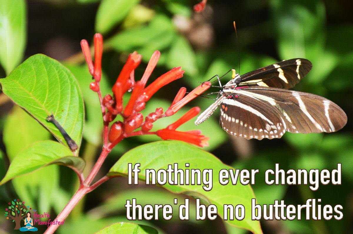 Health_Manifest's tweet image. If nothing ever changed there&apos;d be no butterflies.

#changemakers #transformations #transformationjourney #changeyourmindsetchangeyourlife #changeiscoming #lifestylechanges #changeyourmind #changeyourthoughts #changemaker #transformationchallenge #totallifechanges