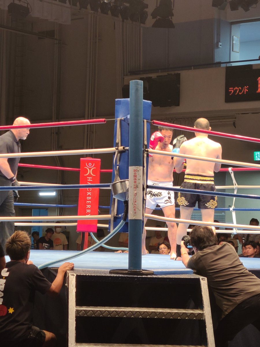 サーバル tweet media