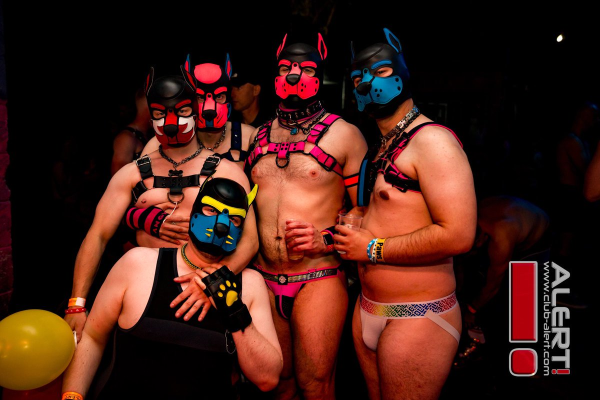 Axel 🔜 Animalz (@pinkpuppyaxel) on Twitter photo 1 week ago today <a href="/ClubAlert/">Alert!</a>! Incredibly fun event with these stunning dogs, take me back!
💙: <a href="/InmateJackson/">Inmate Jackson</a>
🩷: <a href="/ukpup_Jager/">PuP - JaGeR🔜Darklands</a>
❤️: <a href="/Pup__Daxter/">PupDaxter</a>
💛: <a href="/PupSnaq/">Pup_Snaq 🐾🐾🐾</a>
📸 by the incredible talent, <a href="/PUPNEUTRON/">PUP NEUTRON</a> 1 week ago today <a href="/ClubAlert/">Alert!</a>! Incredibly fun event with these stunning dogs, take me back!
💙: <a href="/InmateJackson/">Inmate Jackson</a>
🩷: <a href="/ukpup_Jager/">PuP - JaGeR🔜Darklands</a>
❤️: <a href="/Pup__Daxter/">PupDaxter</a>
💛: <a href="/PupSnaq/">Pup_Snaq 🐾🐾🐾</a>
📸 by the incredible talent, <a href="/PUPNEUTRON/">PUP NEUTRON</a>