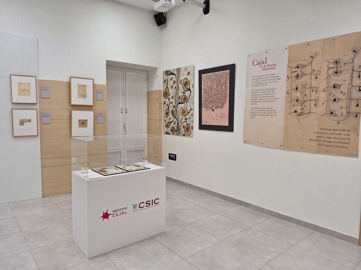 CSICval's tweet photo. Empezamos septiembre con nueva exposición: 'Cajal, Ciencia y Arte', compuesta por facsímiles de dibujos originales del Nobel español conservados en el Legado Cajal del @InstitutoCajal del @CSIC.

De lunes a viernes, de 10 a 16 horas. Entrada libre.  

https://t.co/ynXoq0gXeX https://t.co/dZuB7k0wXm