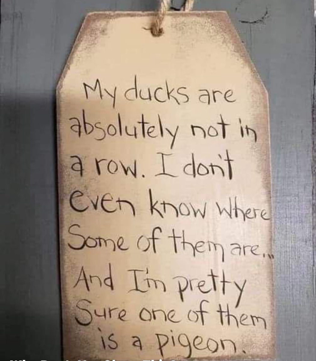 Mairead Ni Mhaonaigh tweet media