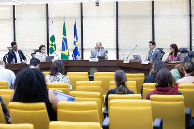 PFDC defende criação de marco nacional sobre direitos humanos e empresas. Audiência pública promovida pelo órgão reuniu representantes do setor empresarial e da sociedade civil para debater sobre projeto de lei em tramitação no Congresso Nacional bit.ly/4798dcq