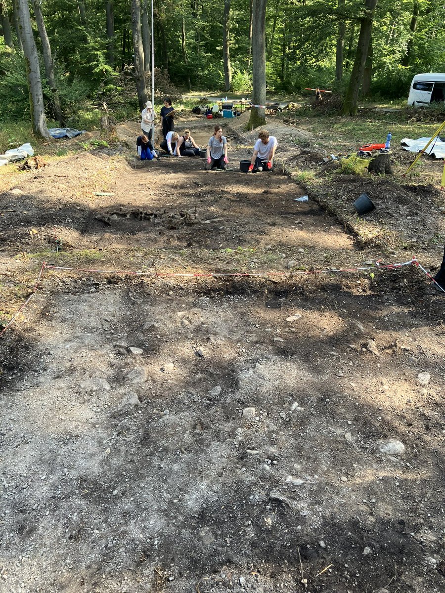 Detlef Gronenborn | @dgron.bsky.social (@dgronenborn) on Twitter photo Rounding up our first week at #Kapellenberg tumulus. Grey soil in first trench covers cobble layer, both anthropogenic. View from top of the mound towards NE. Next week we will look at that top... <a href="/leizarchaeology/">Leibniz-Zentrum für Archäologie (LEIZA)</a> Rounding up our first week at #Kapellenberg tumulus. Grey soil in first trench covers cobble layer, both anthropogenic. View from top of the mound towards NE. Next week we will look at that top... <a href="/leizarchaeology/">Leibniz-Zentrum für Archäologie (LEIZA)</a>