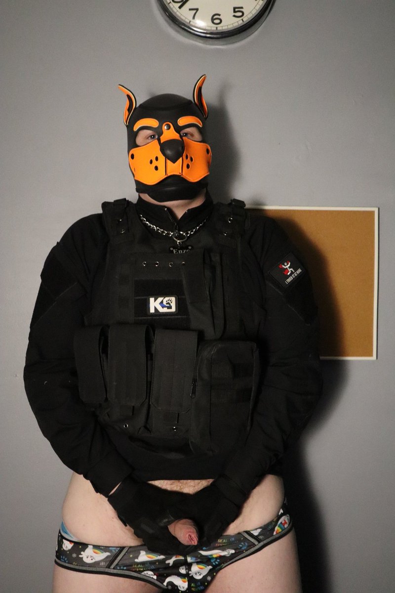 EnzoDaDog's tweet photo. Got a gift for ya :3 https://t.co/Bk1Q0jRrrO