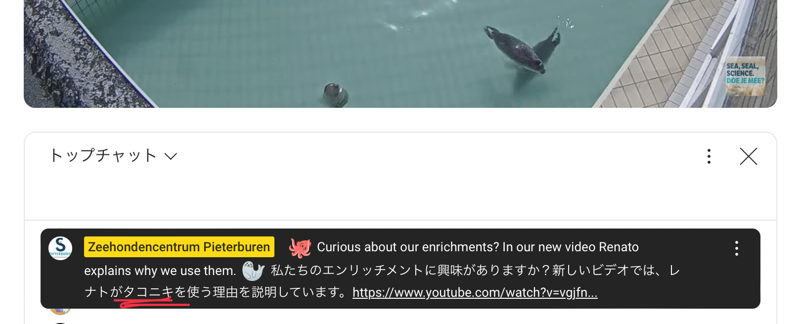【ローザ】まっきっきのにっこりたこちゃん形オルゴナイト☆他３点 サイクルジョイ / GO!GO!DUCK! ライト+ホーン 光る！鳴く