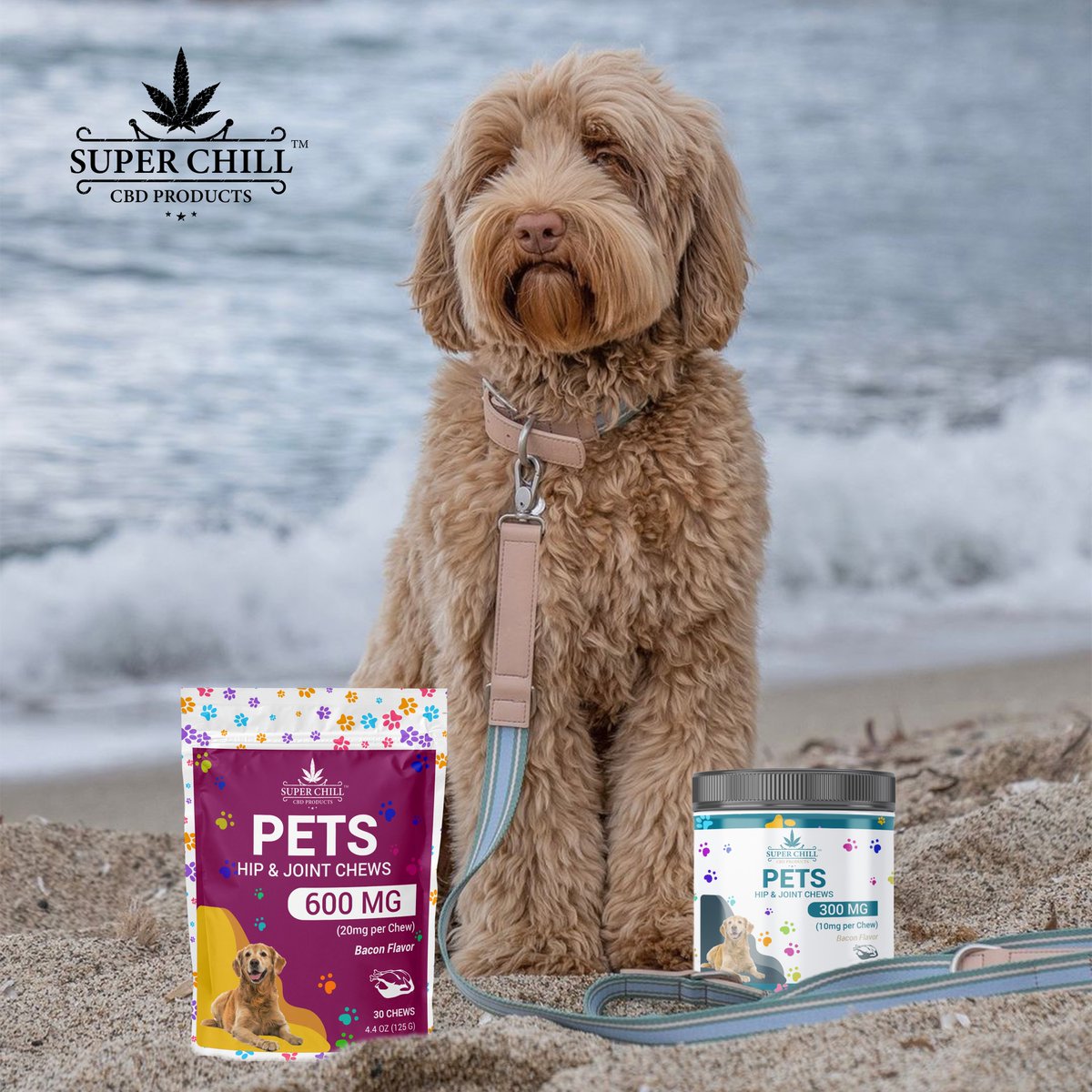 GetSuperChill's tweet photo. Give your furry friend the gift of calm with our Pets CBD Gummies—delicious, soothing, and made just for them! 🐾
#superchill #superchillproducts #PetsCBD #CBDGummies #PetWellness #HappyPets #CBDForPets #PetCare #CalmPets #HealthyPets #PetHealth #FurryFriends #CBDPets https://t.co/gKkCXL76ZC