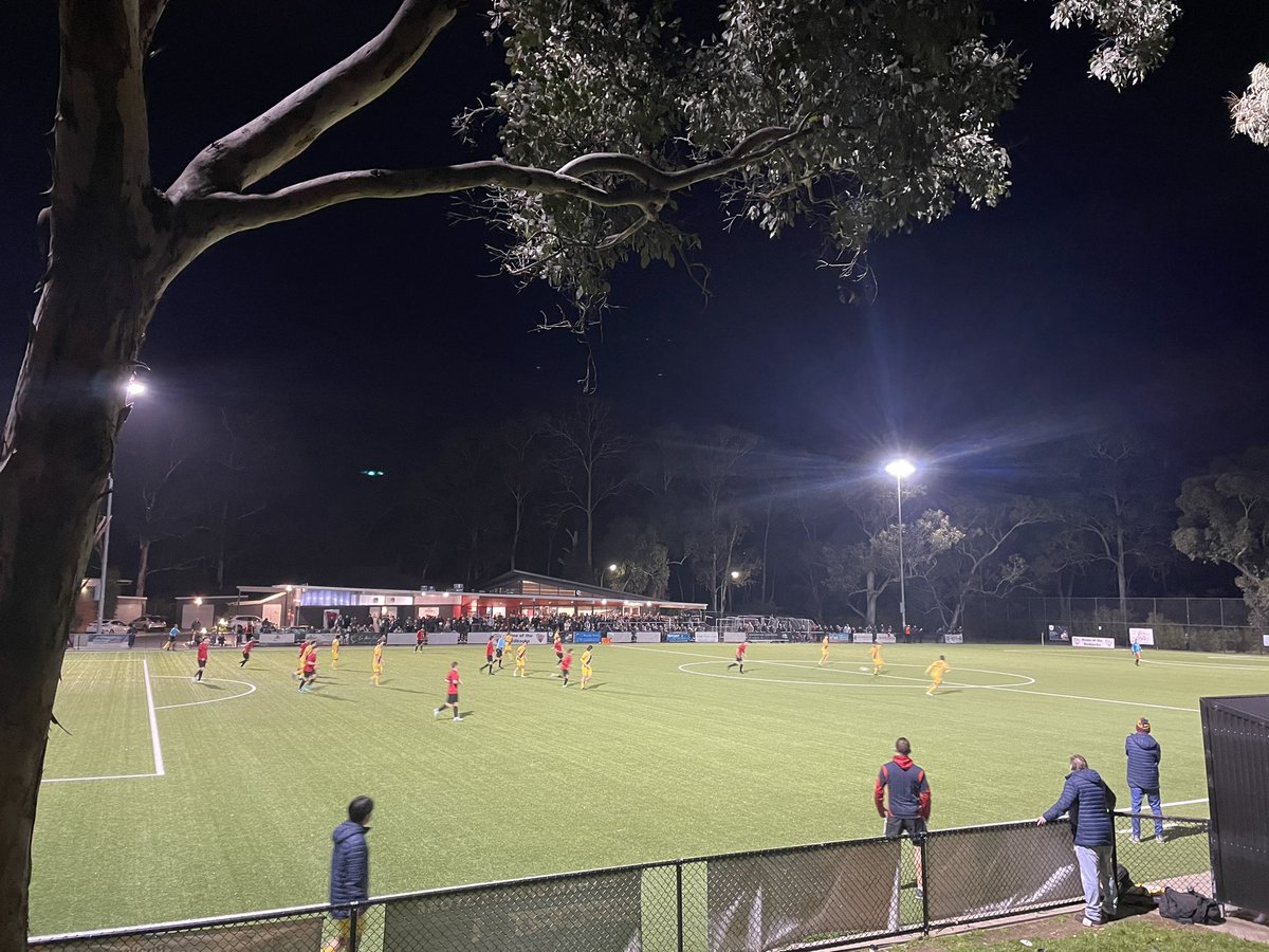 Pietro Cosenza tweet media