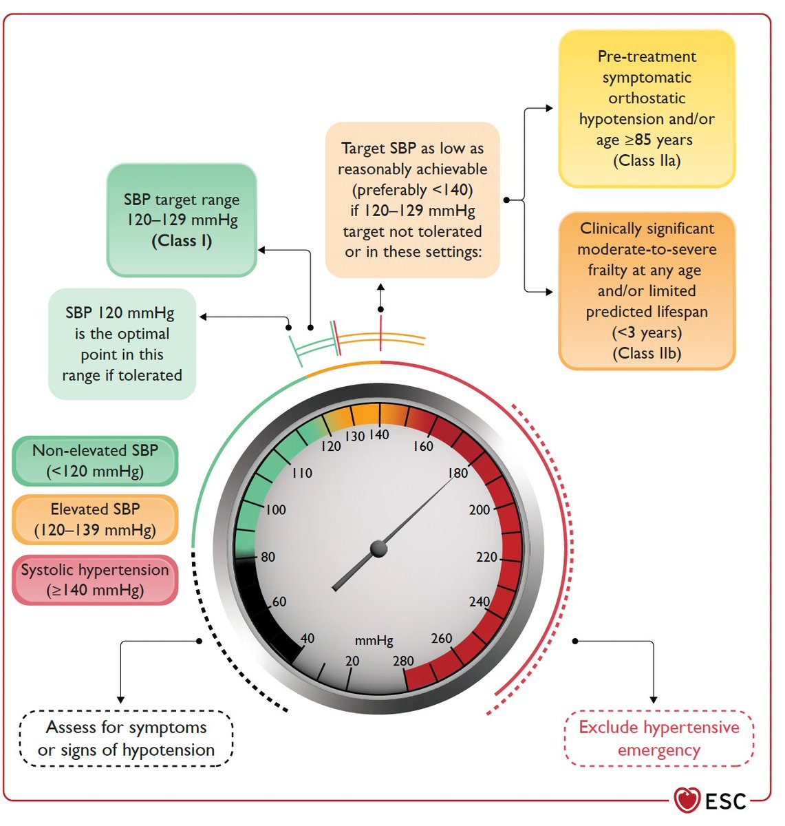 Alfonso Valle (@vallealfonso) on Twitter photo Nuevas guías sobre el manejo de la HTA via <a href="/escardio/">European Society of Cardiology</a>. Que novedades nos traen?🧵
📂escardio.org/Guidelines/Cli… Nuevas guías sobre el manejo de la HTA via <a href="/escardio/">European Society of Cardiology</a>. Que novedades nos traen?🧵
📂escardio.org/Guidelines/Cli…