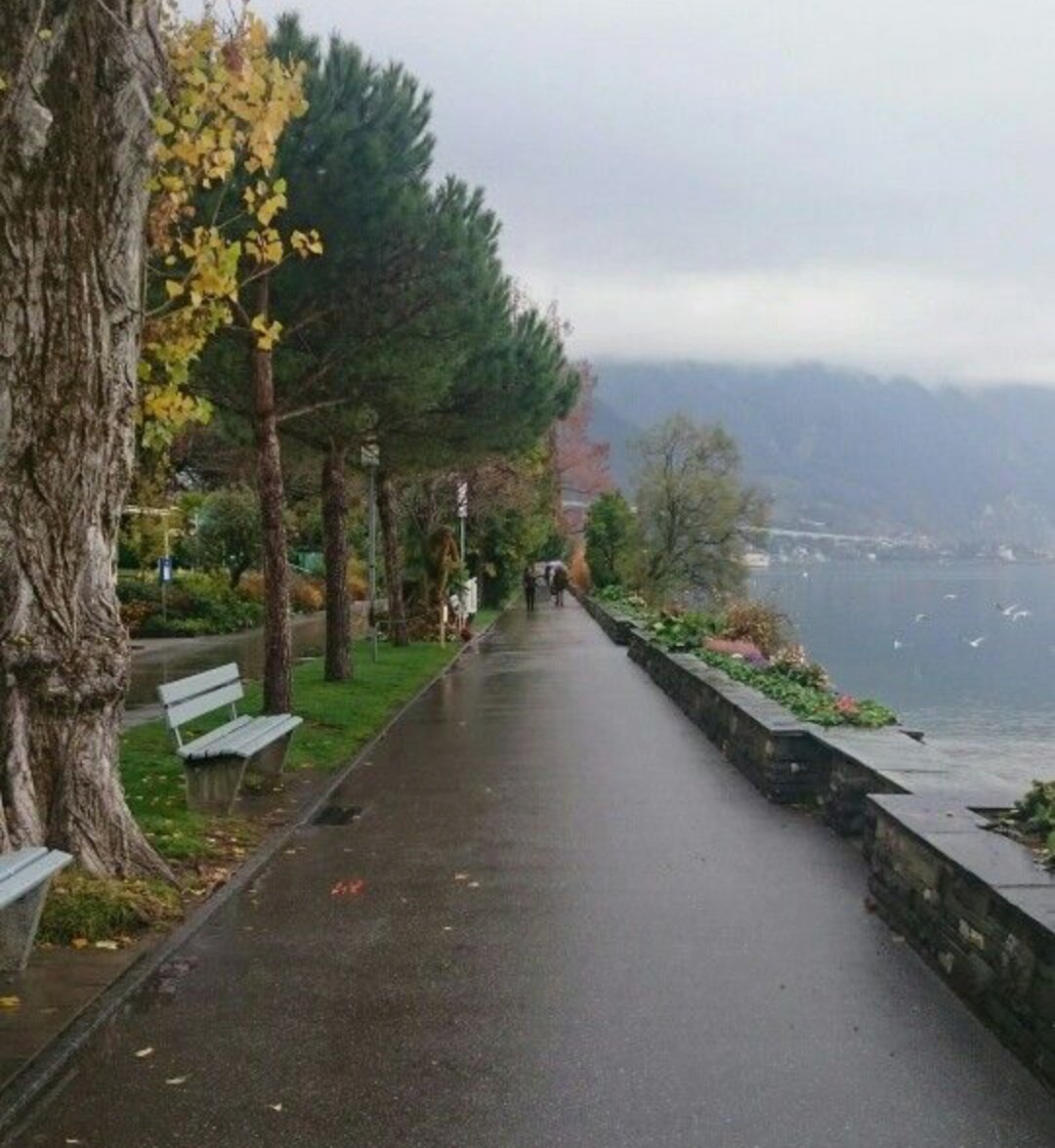 ðeqrað (@26mn4) on Twitter photo Knowing yourself is as important as knowing how to do job.
Good evening Twitter fam â€
<a href="/BAA_WA/">ð Îð²âÑðïœð</a> @Nysar7 <a href="/Faa__27/">KAMLI_KURRI</a> <a href="/ZBU_10/">âŒâŸâŸâªïžâ€ïž ÙŸÚ¯ÙØ§__دÛÙØ§ÙÛ â€ïžâªïžâŸâŒâ¬</a>
<a href="/Aln_m6/">ððµð²ð·ðª ð¶ðªðµð²ðŽð</a> <a href="/1nzuk/">Nazu Khan</a> #BBN <a href="/Badra_g_/">ðŠ ØšØ¯Ø±Ø§____Ø±Ø§Ø¬ÙŸÙØªðŠ</a> ð<a href="/ea30_4/">3qrã</a> <a href="/26Mn4/">ðeqrað</a> ð
<a href="/28_pti/">ARHAM_PTI28</a> <a href="/Rnapti/">SHAHIDðPK</a>
#PositiveEnergy
<a href="/khg_82/">KHAN G</a> <a href="/Q_261/">ð ðð¢ððð ð</a>
<a href="/1Rjpt/">ðµð°ððð§ð âðð£ð©ðšðšððšðŠ</a> <a href="/2Sehr/">ðïžðáŽÊáŽÊ ð¹áŽáŽáŽðïžáŽŸáµáµáŽŸáµÊ·áµÊ³</a>
<a href="/EB40_/">BáŽÊáŽð€</a> @_Esha_2
<a href="/Bj__99/">вααÏα</a> <a href="/Bawa_99/">*â¢.ž⡠ðºð¶ðŒð³_ð¯ðšðªð²ð¬ð¹ â¡Âž.â¢*</a>
<a href="/baw_26/">ð«â€_ØšØ§ÙØ§_جÛ_ÙØ§ÛÙØ±_â€â</a> Knowing yourself is as important as knowing how to do job.
Good evening Twitter fam â€
<a href="/BAA_WA/">ð Îð²âÑðïœð</a> @Nysar7 <a href="/Faa__27/">KAMLI_KURRI</a> <a href="/ZBU_10/">âŒâŸâŸâªïžâ€ïž ÙŸÚ¯ÙØ§__دÛÙØ§ÙÛ â€ïžâªïžâŸâŒâ¬</a>
<a href="/Aln_m6/">ððµð²ð·ðª ð¶ðªðµð²ðŽð</a> <a href="/1nzuk/">Nazu Khan</a> #BBN <a href="/Badra_g_/">ðŠ ØšØ¯Ø±Ø§____Ø±Ø§Ø¬ÙŸÙØªðŠ</a> ð<a href="/ea30_4/">3qrã</a> <a href="/26Mn4/">ðeqrað</a> ð
<a href="/28_pti/">ARHAM_PTI28</a> <a href="/Rnapti/">SHAHIDðPK</a>
#PositiveEnergy
<a href="/khg_82/">KHAN G</a> <a href="/Q_261/">ð ðð¢ððð ð</a>
<a href="/1Rjpt/">ðµð°ððð§ð âðð£ð©ðšðšððšðŠ</a> <a href="/2Sehr/">ðïžðáŽÊáŽÊ ð¹áŽáŽáŽðïžáŽŸáµáµáŽŸáµÊ·áµÊ³</a>
<a href="/EB40_/">BáŽÊáŽð€</a> @_Esha_2
<a href="/Bj__99/">вααÏα</a> <a href="/Bawa_99/">*â¢.ž⡠ðºð¶ðŒð³_ð¯ðšðªð²ð¬ð¹ â¡Âž.â¢*</a>
<a href="/baw_26/">ð«â€_ØšØ§ÙØ§_جÛ_ÙØ§ÛÙØ±_â€â</a>